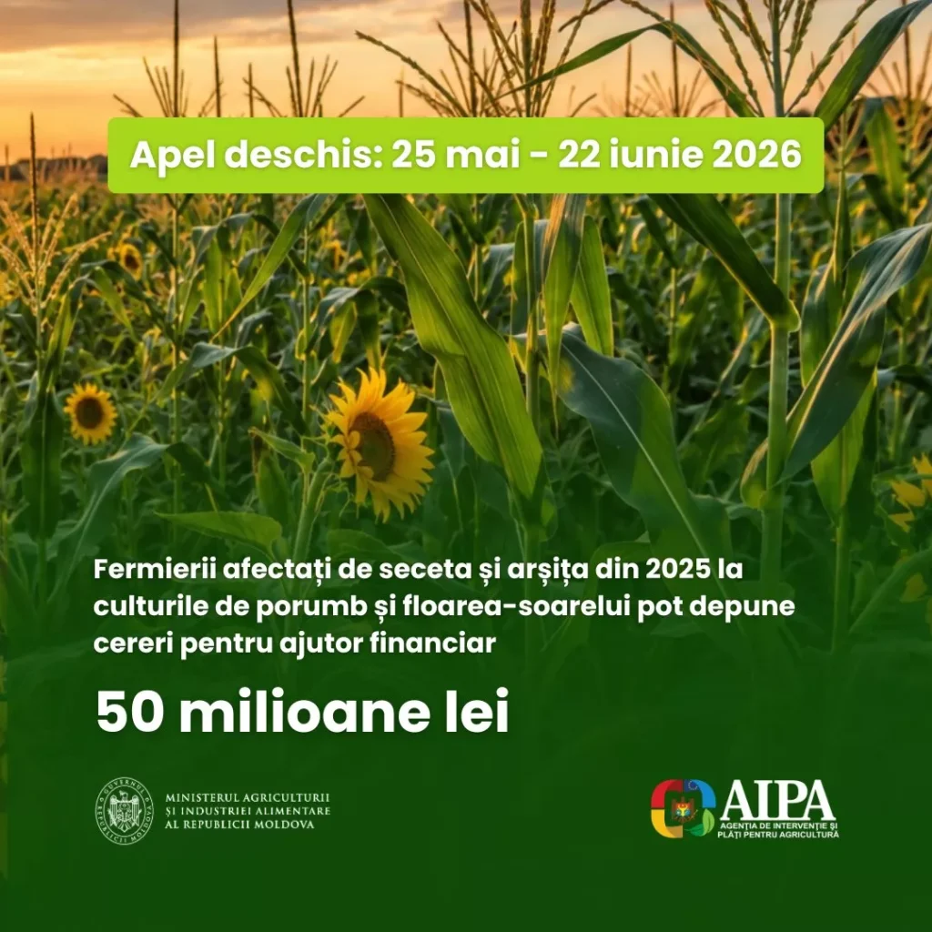 Fermierii afectați de seceta și arșița din 2025 pot depune cereri pentru ajutor financiar