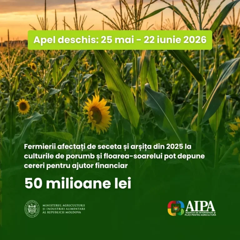 Fermierii afectați de seceta și arșița din 2025 pot depune cereri pentru ajutor financiar