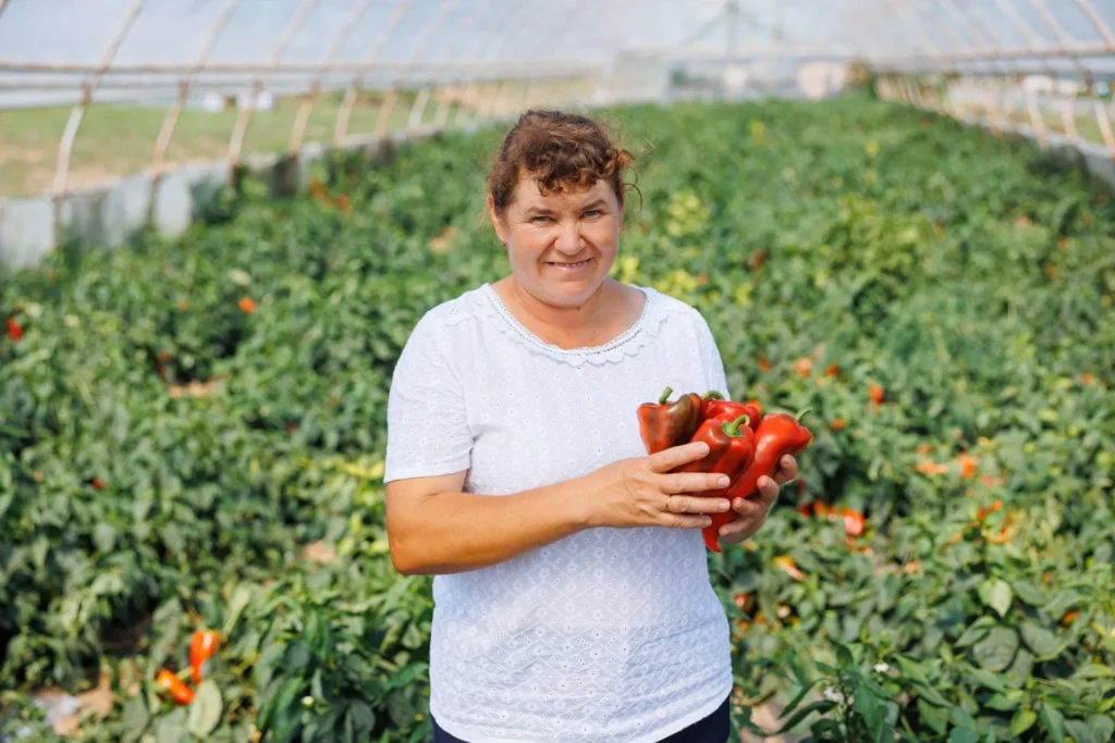 antreprenoare din Moldova au lansat platforma FAR – Femei pentru Agricultură Rezilientă