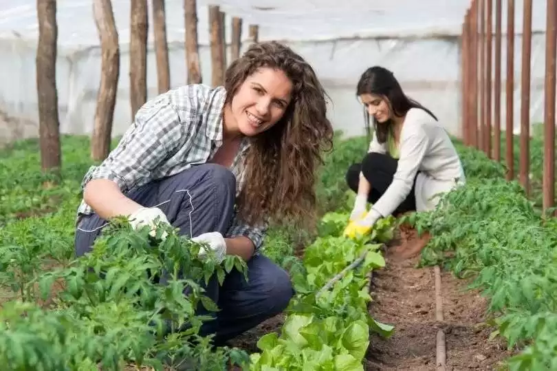 femei in agricultura 1
