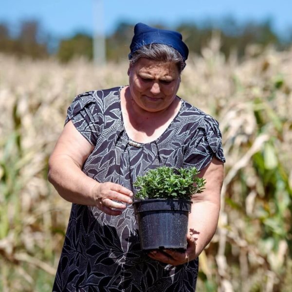 Femei pentru agricultura rezilienta - 26