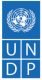 undp logo 1