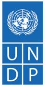 undp logo 1